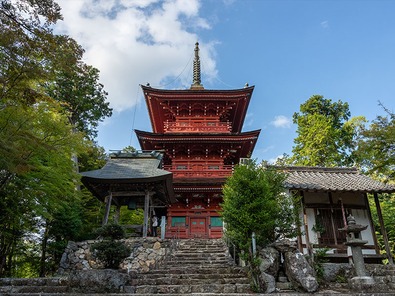 Seiko Electric Manufacturing Co., Ltd. image