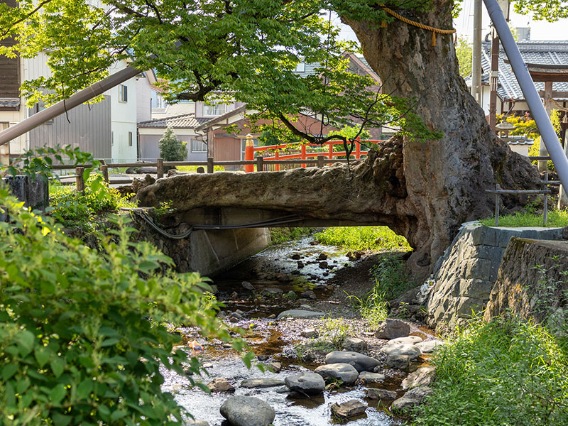 Seiko Electric Manufacturing Co., Ltd. image