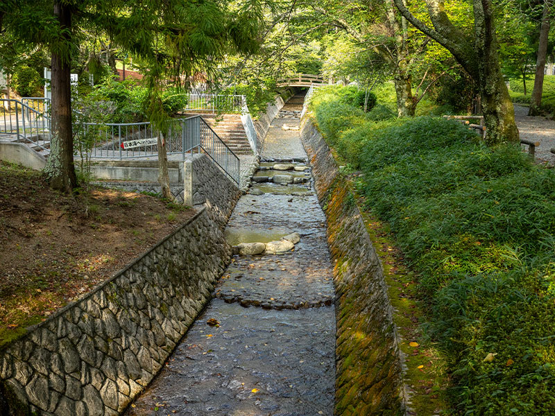 Seiko Electric Manufacturing Co., Ltd. image